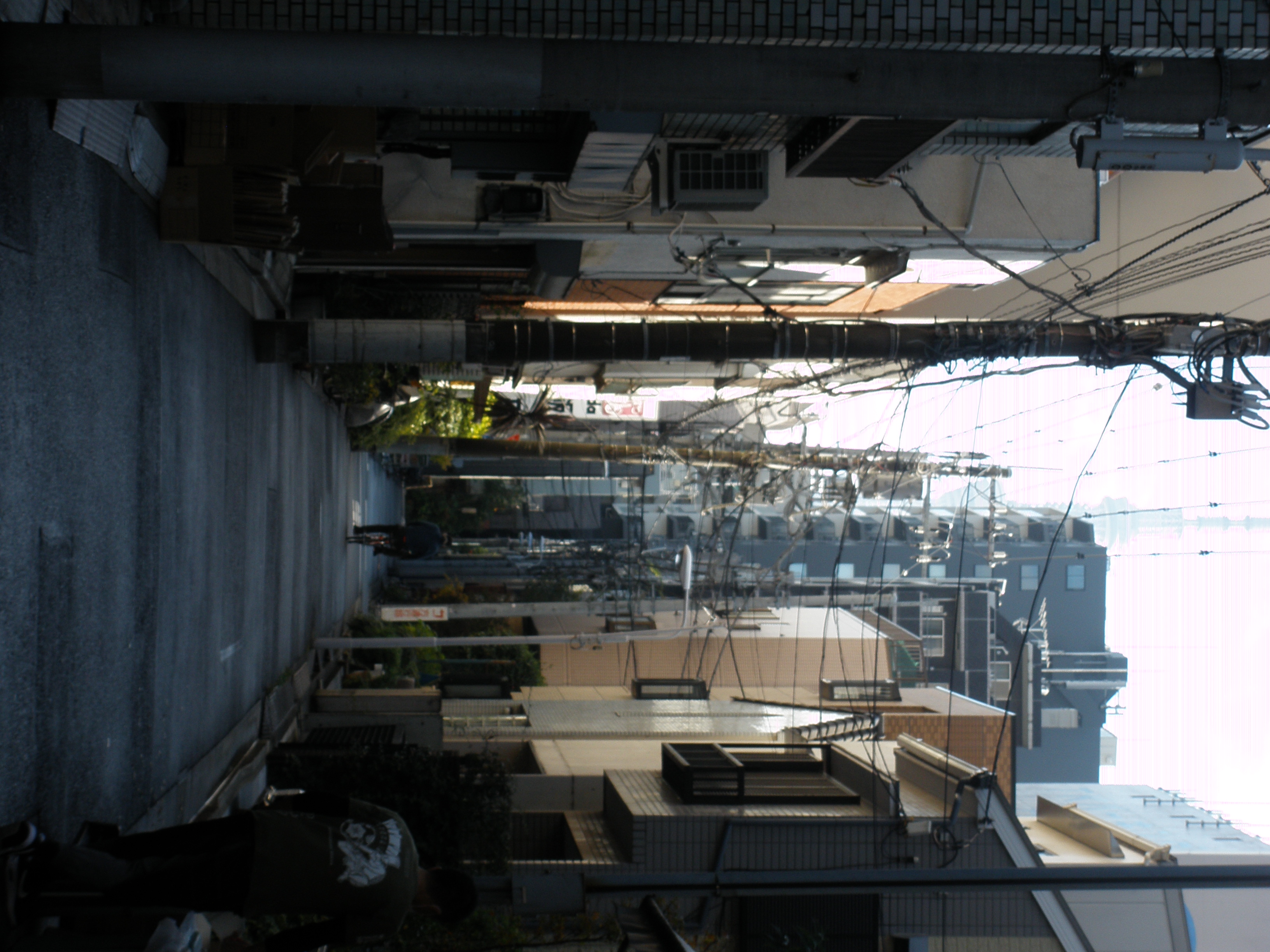 Landscape image PB270387